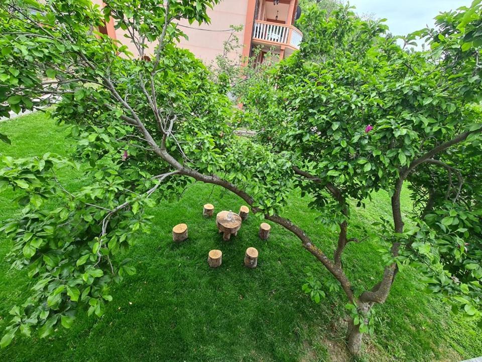 Holiday Home Vulezic Bar Ngoại thất bức ảnh