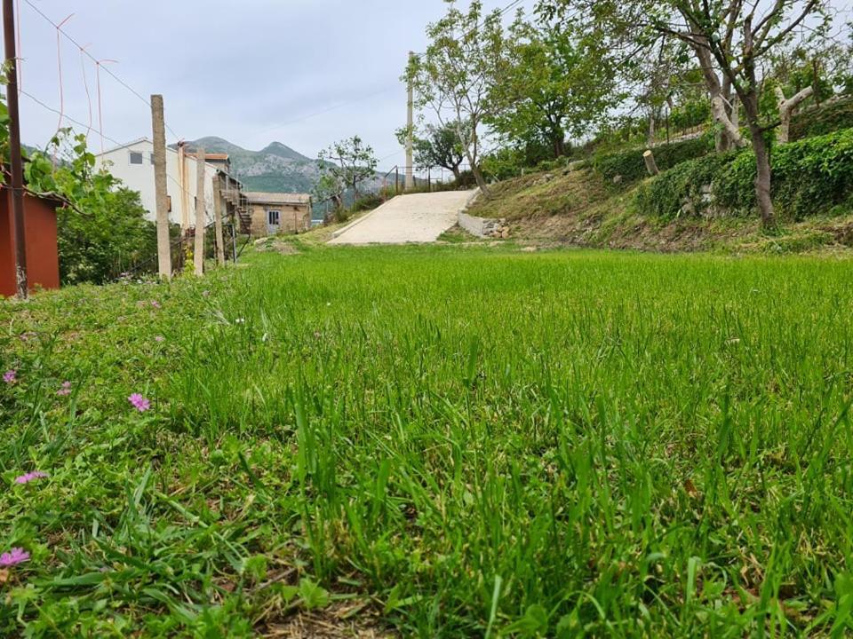 Holiday Home Vulezic Bar Ngoại thất bức ảnh